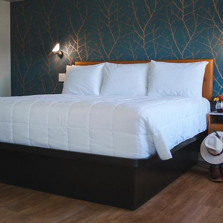 Hamilton City Center Motel المظهر الخارجي الصورة