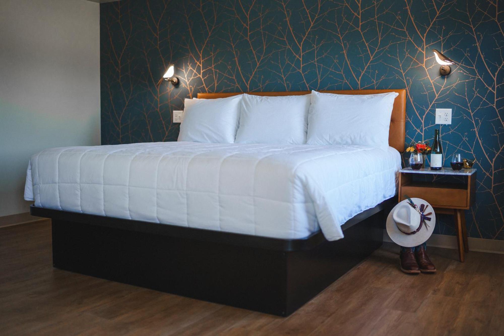 Hamilton City Center Motel المظهر الخارجي الصورة